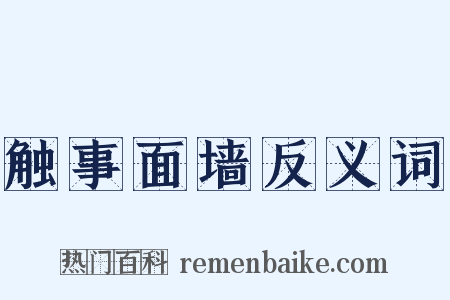 触事面墙反义词是什么意思的图片